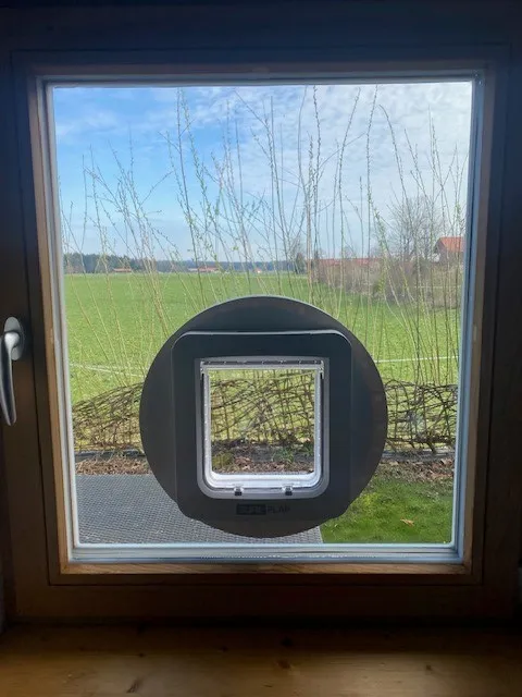 Katzenklappen Glazier Karner