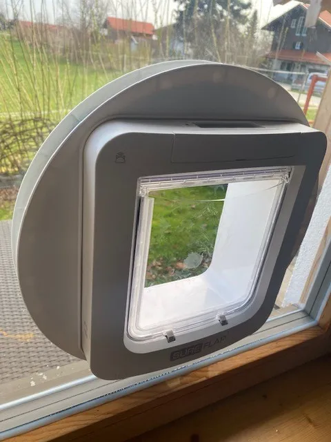 Katzenklappen Glazier Karner