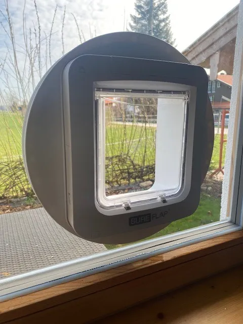 Katzenklappen Glazier Karner